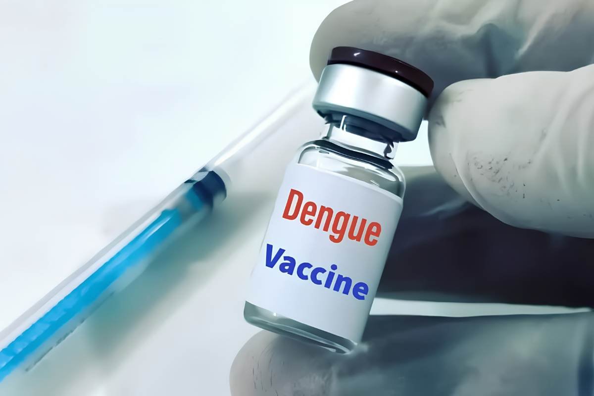 India Approves First Dengue Vaccine QDENGA For Ages 4 To 60