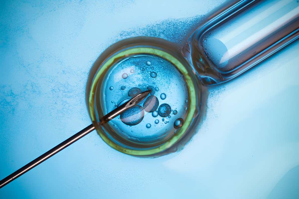 Beyond IVF_ Building a National Fertility Ecosystem | Business Viewpoint Magazine