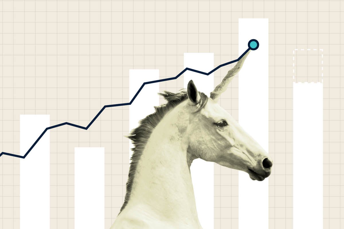 The Truth About Unicorn Valuations: Real or Inflated? | Business Viewpoint Magazine