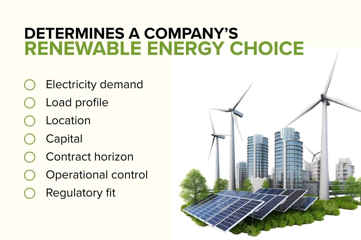 What Determines a Company’s Renewable Energy Choice | Business Viewpoint Magazine