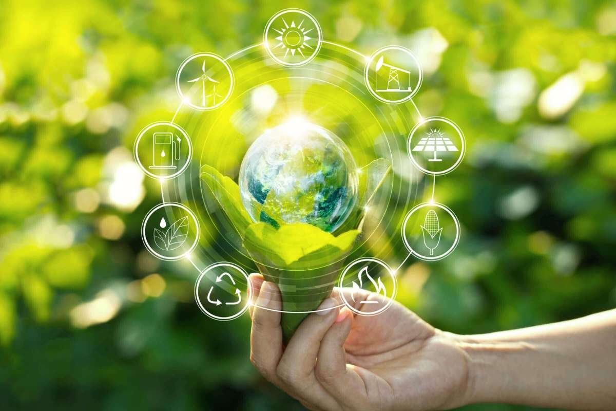 What to Check Before Adopting a Green Energy Solution | Business Viewpoint Magazine