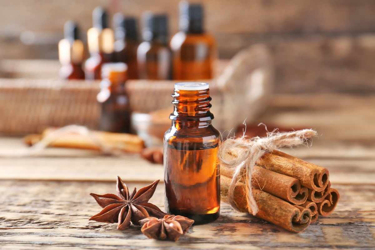 Top 4 Ancient Traditional Medicine in India | Buisness Viewpoint Magazine