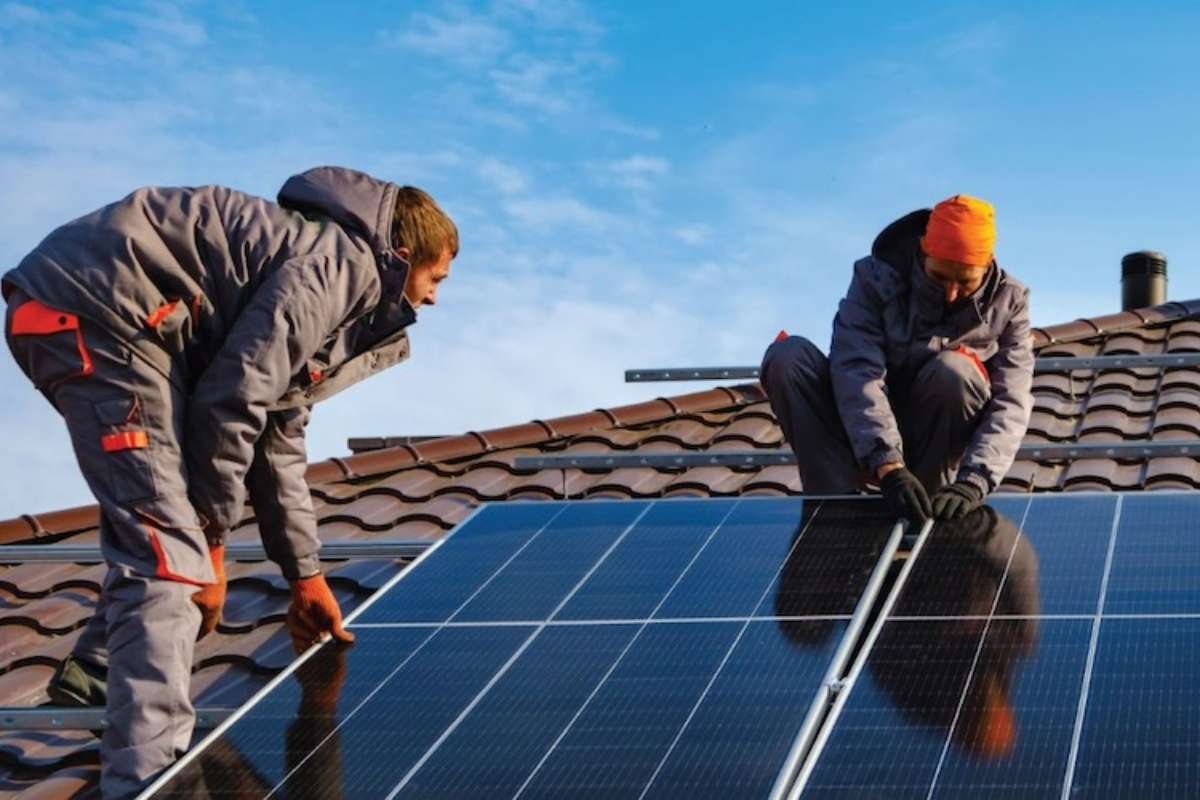 Monocrystalline Solar Panels: The Ultimate Guide to Efficiency | Business Viewpoint Magazine