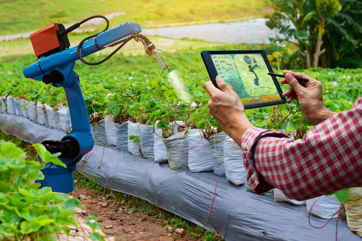 10 Powerful Ways IoT in Agriculture is Transforming the Industry | Business Viewpoint Magazine
