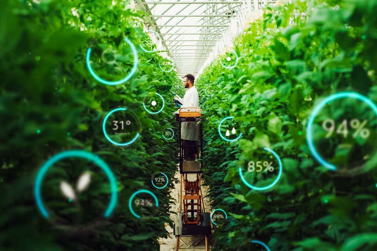 Precision Farming: The Future of Sustainable Agriculture | Business Viewpoint Magazine