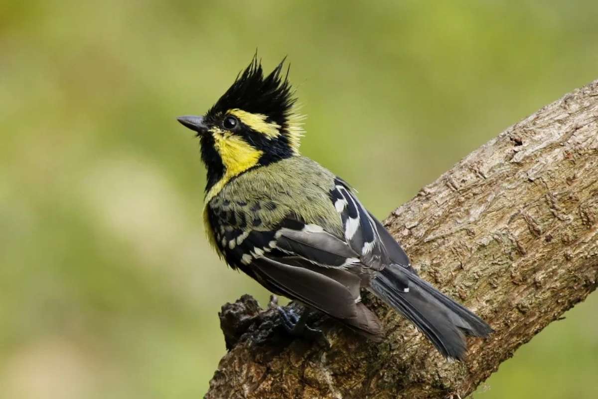 150+ Interesting facts about India: History, Science, and Culture | Business Viewpoint Magazine