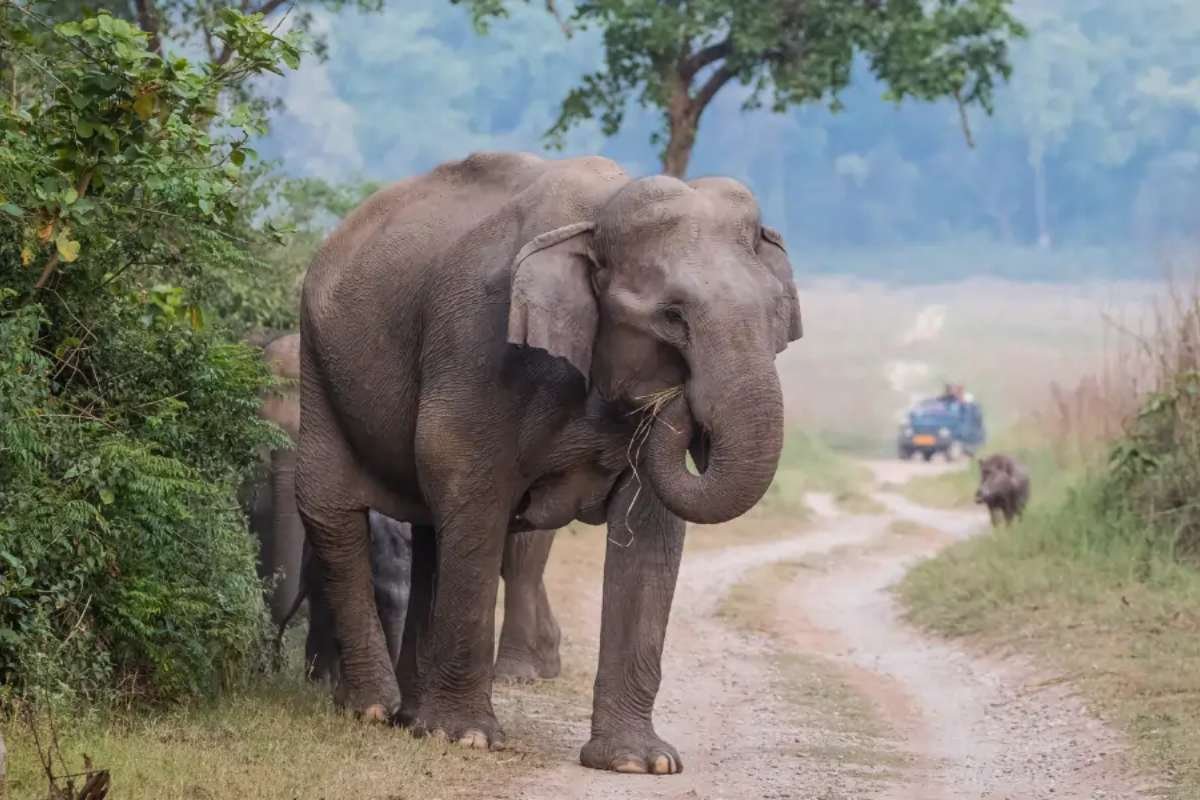 150+ Interesting facts about India: History, Science, and Culture | Business Viewpoint Magazine