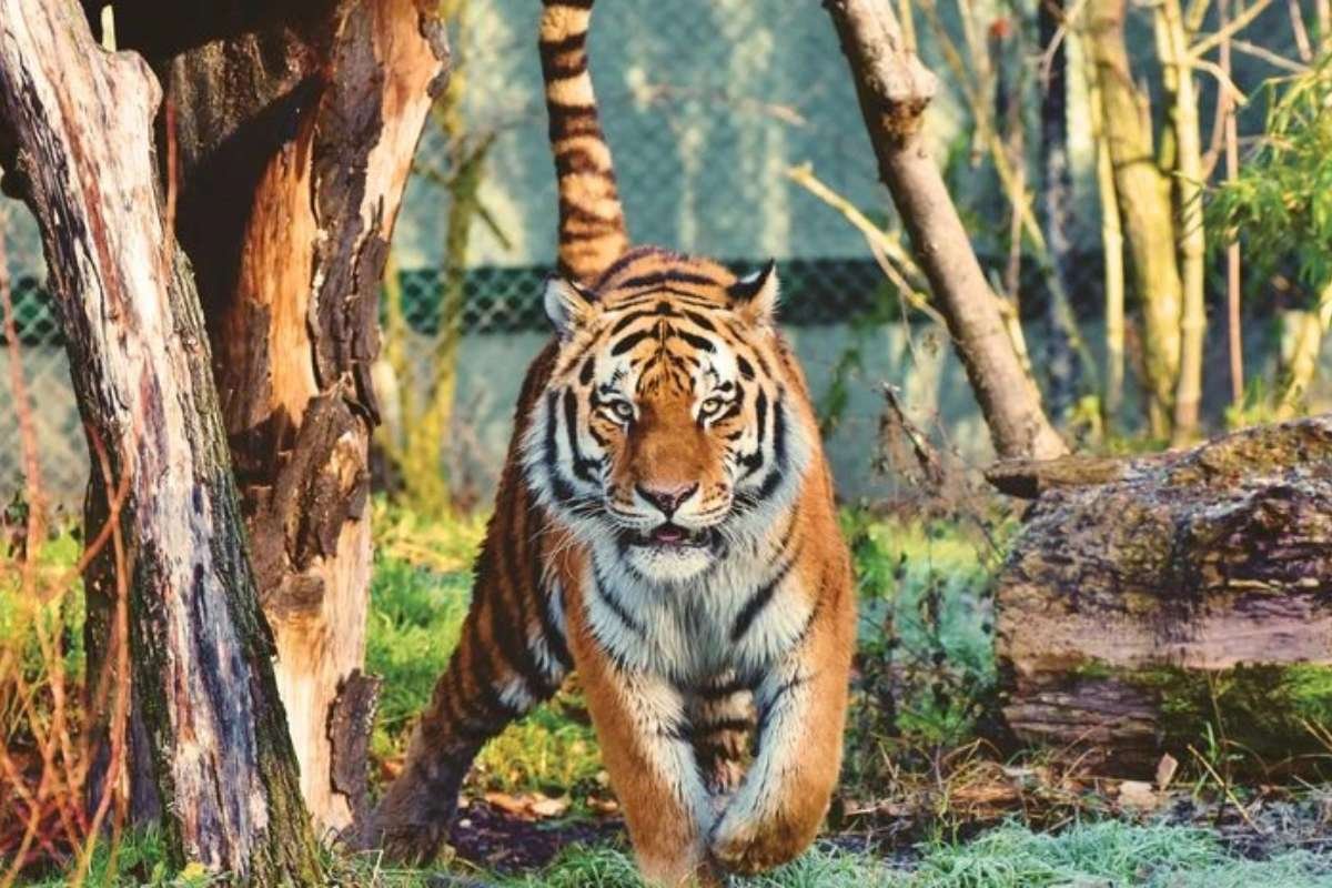 150+ Interesting facts about India: History, Science, and Culture | Business Viewpoint Magazine