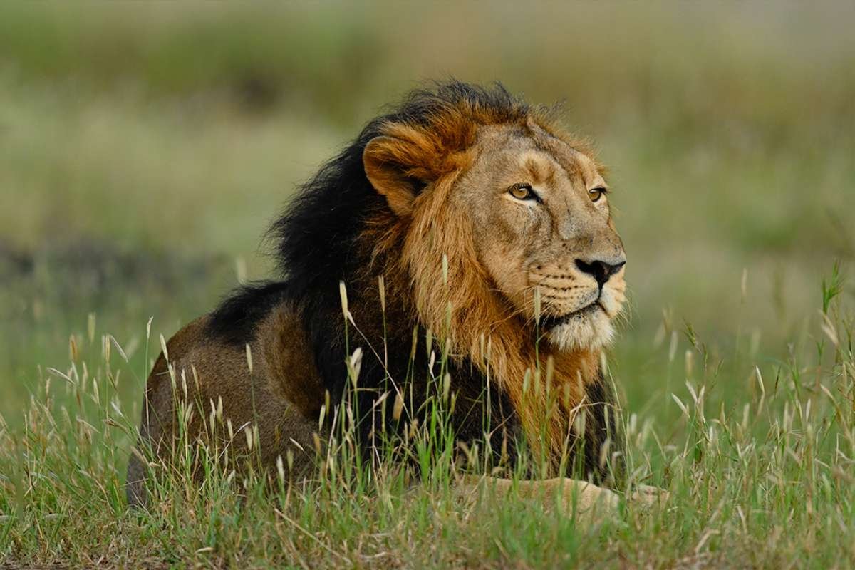 150+ Interesting facts about India: History, Science, and Culture | Business Viewpoint Magazine