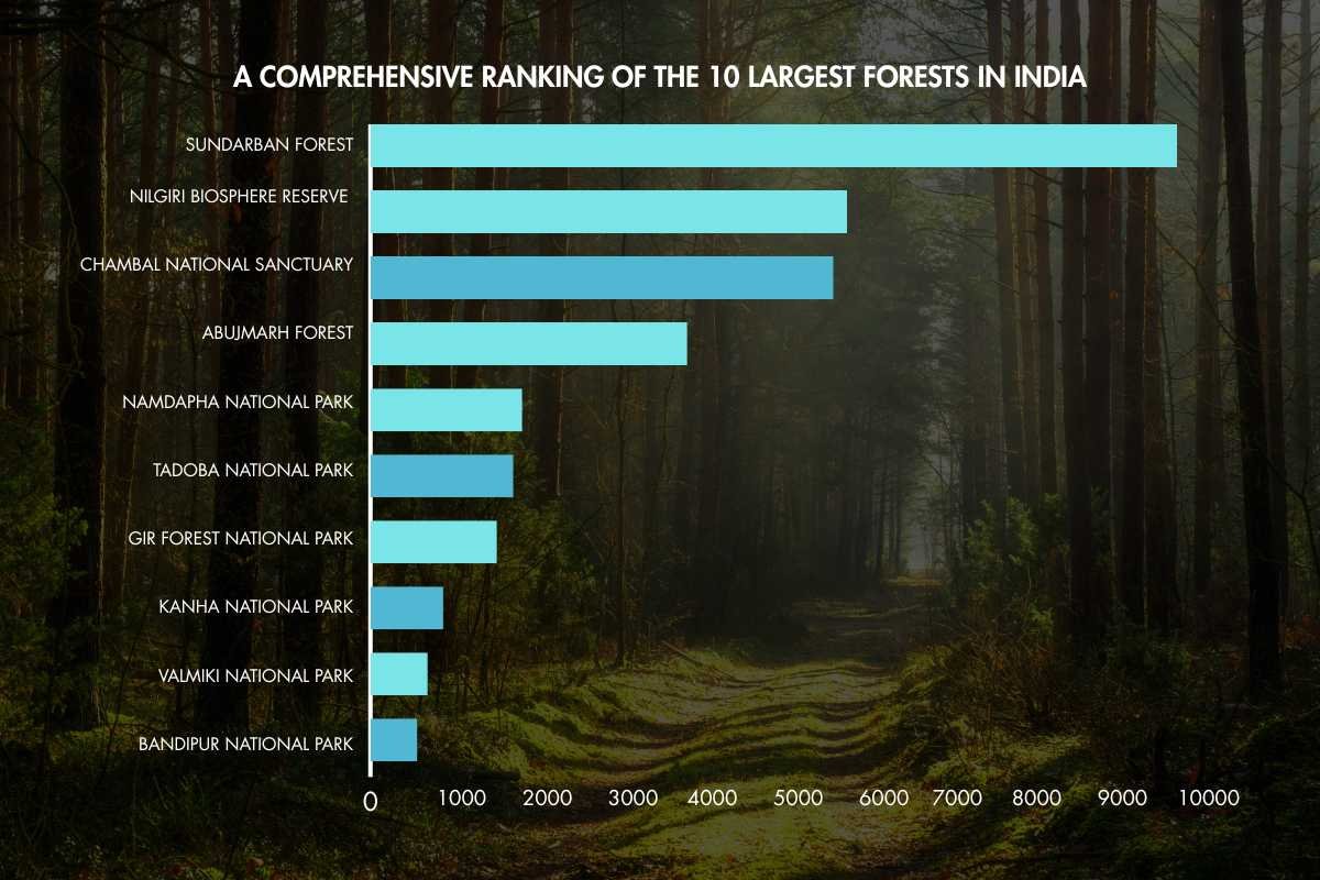 The Largest Forest in India Explained: 10 Forests Ranked by Size and Significance