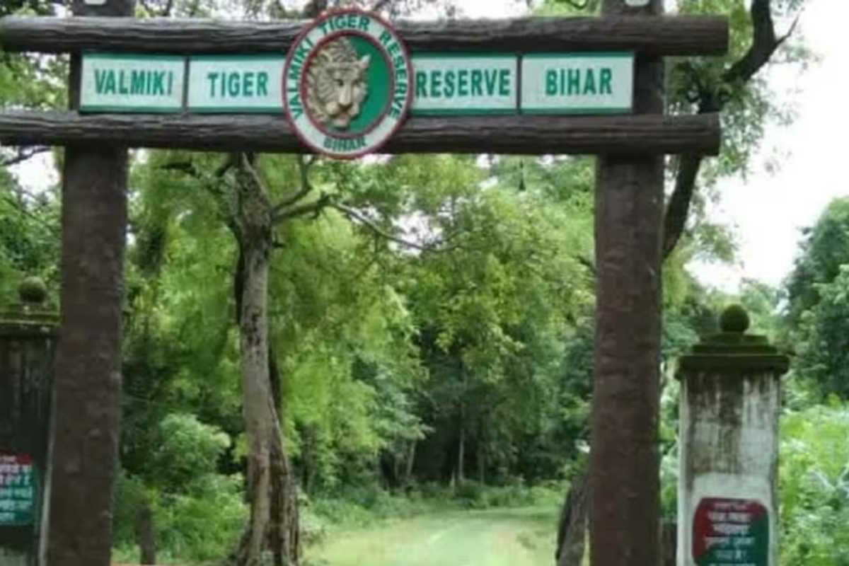 Top 10 Largest Forest in India: Ranked by Scale and Significance | Business Viewpoint Magazine