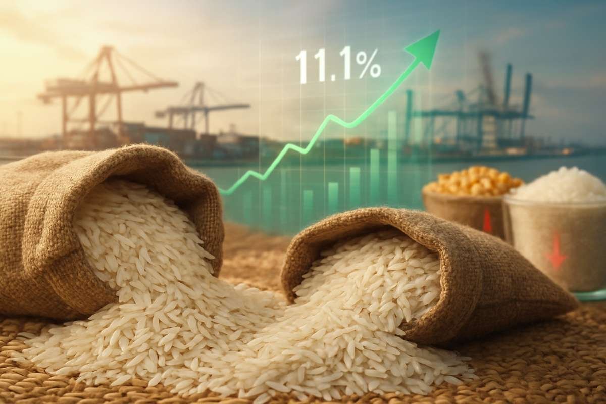 5 States with the Highest Production of Rice in India | Business Viewpoint Magazine