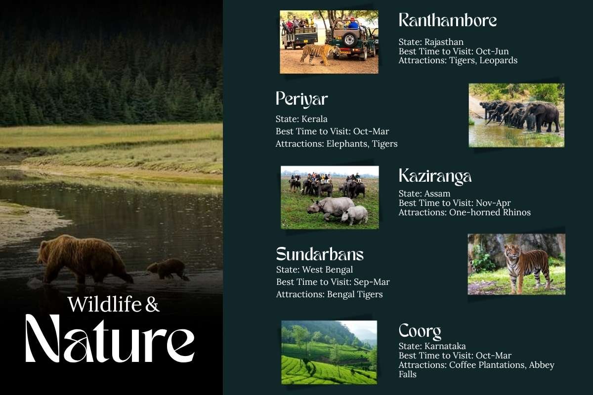 35 Best Places to Visit in India Every Traveller Must See at Least Once | Business Viewpoint Magazine