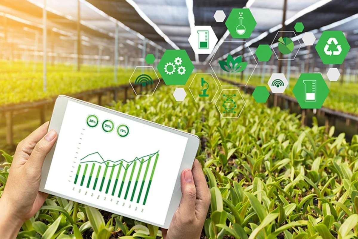 Real World AI Use Cases And Implementation Strategies For Business | Business Viewpoint Magazine