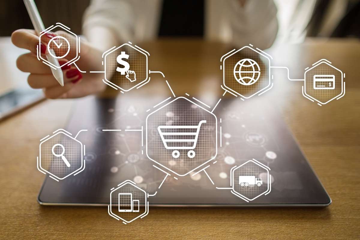 Category-Specialization Retail Model - Go Colors |  Business Viewpoint Magazine  