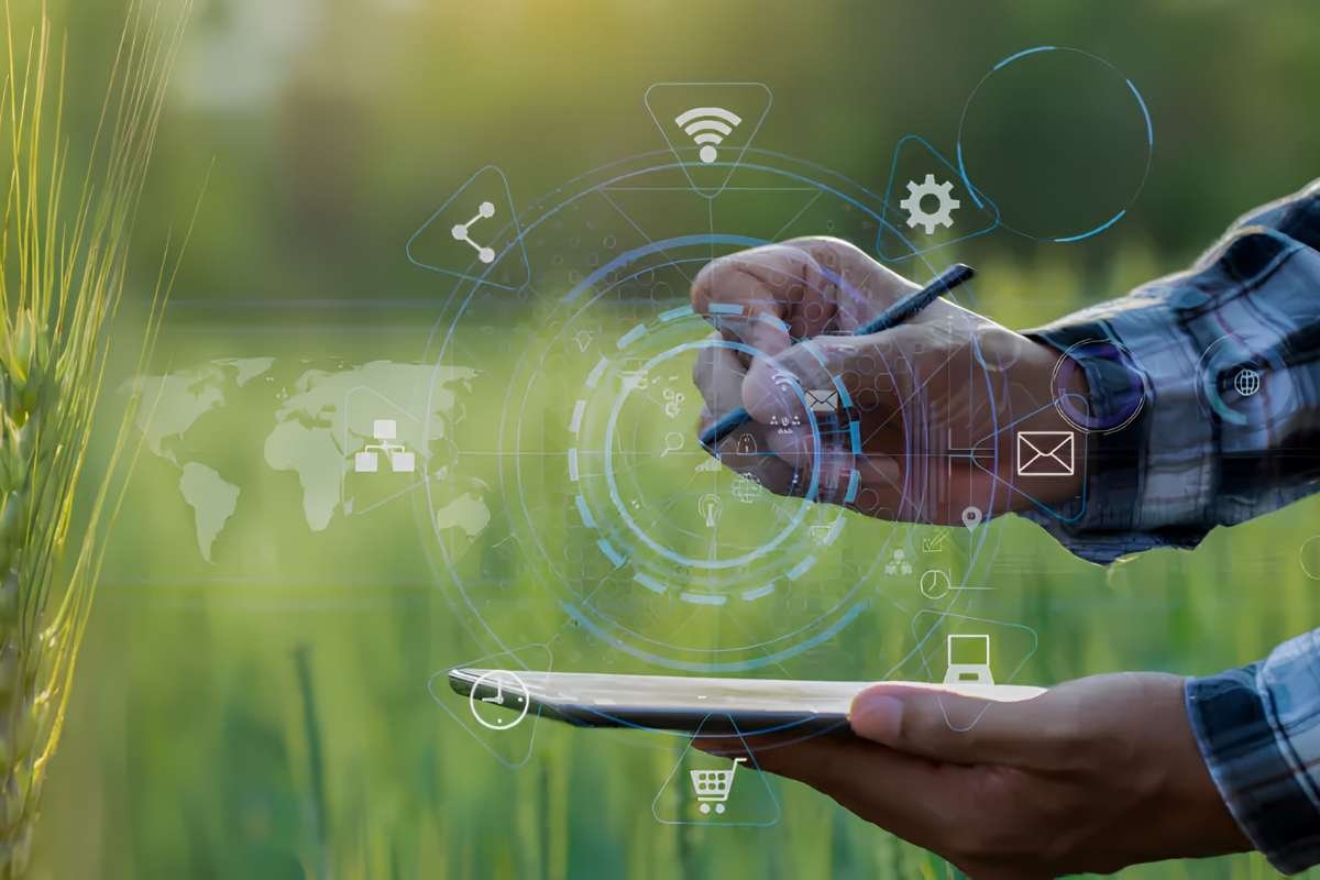 Rural Talent Development and Sustainable Growth | Business Viewpoint Magazine