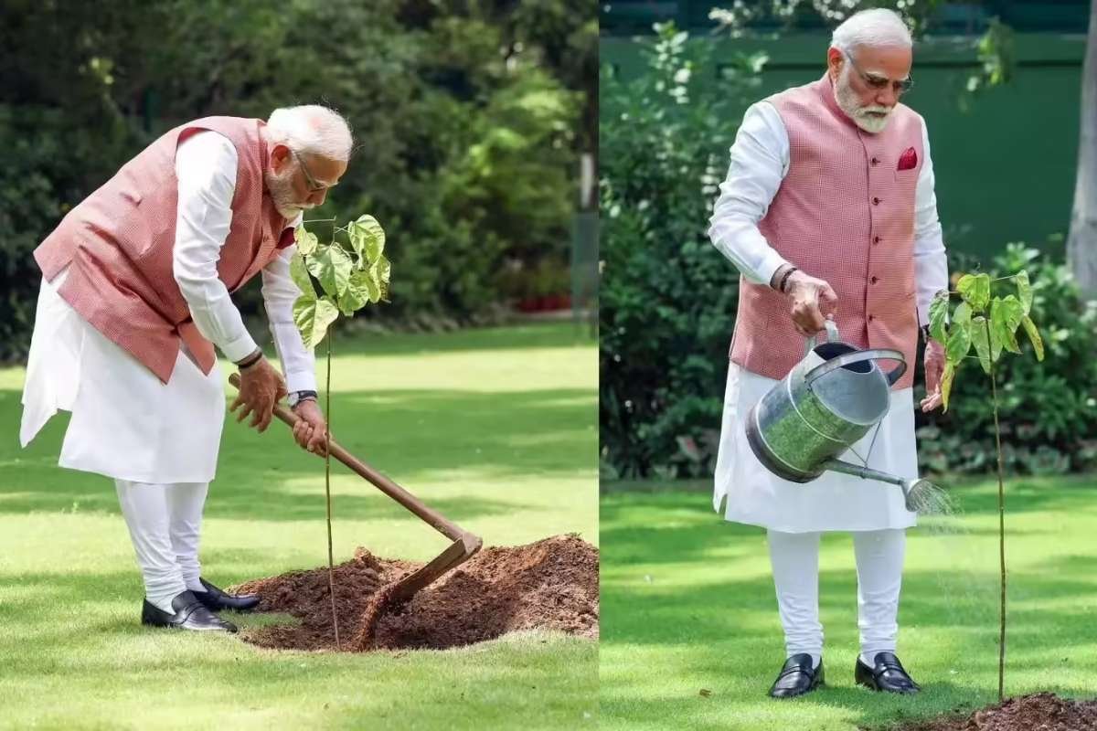 PM Modi Highlights Environmental Growth On World Environment Day